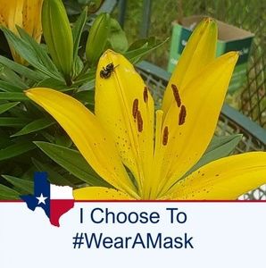 Meet your Posher, Jill